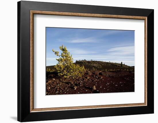 Volcanic Lava Fields, Craters of the Moon National Monument, Idaho-Paul Souders-Framed Photographic Print