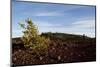 Volcanic Lava Fields, Craters of the Moon National Monument, Idaho-Paul Souders-Mounted Photographic Print