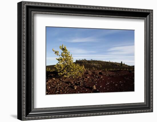 Volcanic Lava Fields, Craters of the Moon National Monument, Idaho-Paul Souders-Framed Photographic Print