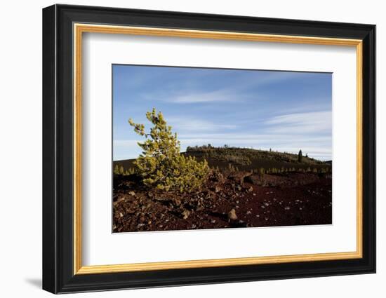 Volcanic Lava Fields, Craters of the Moon National Monument, Idaho-Paul Souders-Framed Photographic Print