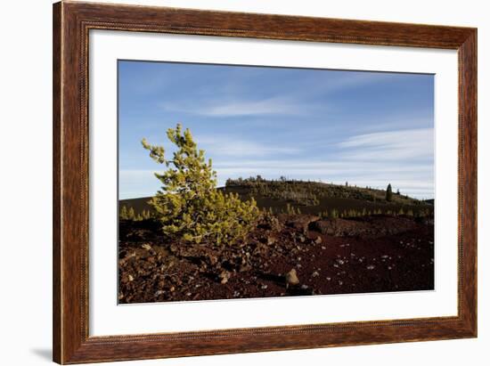 Volcanic Lava Fields, Craters of the Moon National Monument, Idaho-Paul Souders-Framed Photographic Print