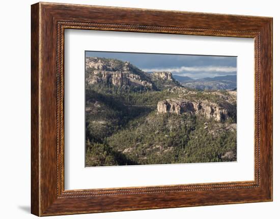 Volcanic plateau of Sierra Tarahumara, above Copper Canyon, Chihuahua, Mexico, North America-Tony Waltham-Framed Photographic Print