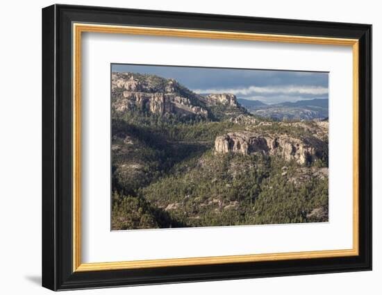 Volcanic plateau of Sierra Tarahumara, above Copper Canyon, Chihuahua, Mexico, North America-Tony Waltham-Framed Photographic Print