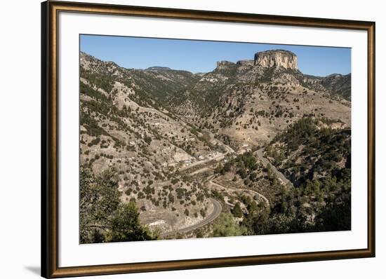 Volcanic plateau of Sierra Tarahumara, above Copper Canyon, Chihuahua, Mexico, North America-Tony Waltham-Framed Photographic Print