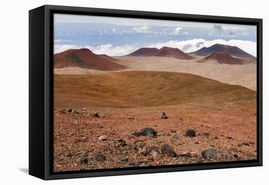 Volcanic Rock Formations , the Big Island of Hawaii-James White-Framed Premier Image Canvas