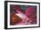 Volcanic-Tuema Pattie-Framed Giclee Print