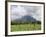 Volcano Concepcion, Isla De Ometepe, Ometepe Island, Nicaragua, Central America-Wendy Connett-Framed Photographic Print