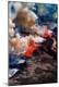 Photographic Print