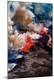 Photographic Print