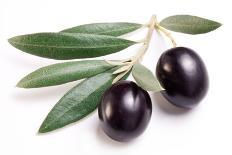 Ripe Black Olives with Leaves on a White Background-Volff-Photographic Print