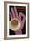 Volg Kaffee-Vintage Apple Collection-Framed Giclee Print