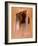 Voliere, 1919-Man Ray-Framed Art Print