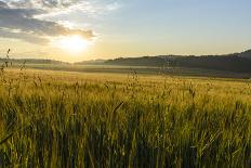 Bath Lake, the Place and the Riegerburgs, Austria-Volker Preusser-Photographic Print