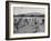 Volleyball at Manzanar Relocation Center, 1943-Ansel Adams-Framed Photographic Print