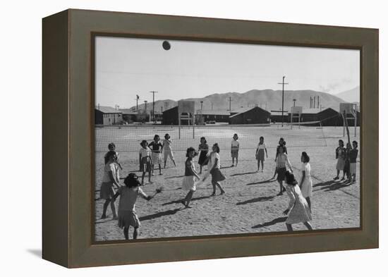 Vollyball-Ansel Adams-Framed Stretched Canvas