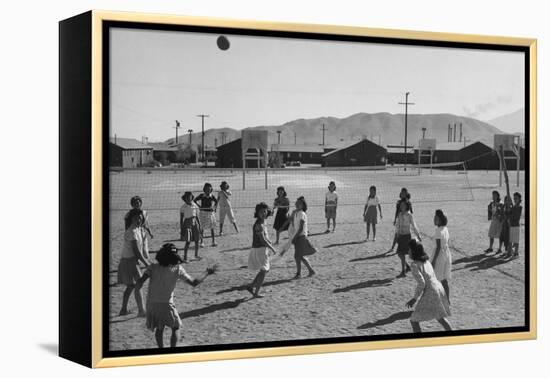 Vollyball-Ansel Adams-Framed Stretched Canvas