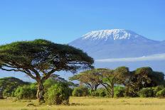 Snow on Top of Mount Kilimanjaro in Amboseli-Volodymyr Burdiak-Photographic Print