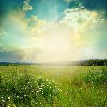 Green Meadow under Blue Sky with Clouds-Volokhatiuk-Art Print