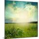 Premium Giclee Print