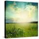 Stretched Canvas Print