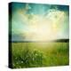 Stretched Canvas Print