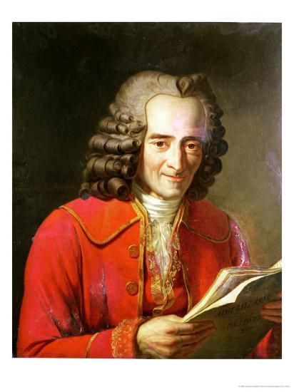 Image result for voltaire art