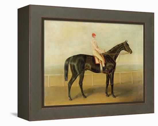 Voltigeur, with Job Marson Up-Samuel Spode-Framed Premier Image Canvas