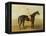 Voltigeur, with Job Marson Up-Samuel Spode-Framed Premier Image Canvas