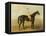 Voltigeur, with Job Marson Up-Samuel Spode-Framed Premier Image Canvas