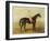 Voltigeur, with Job Marson Up-Samuel Spode-Framed Giclee Print