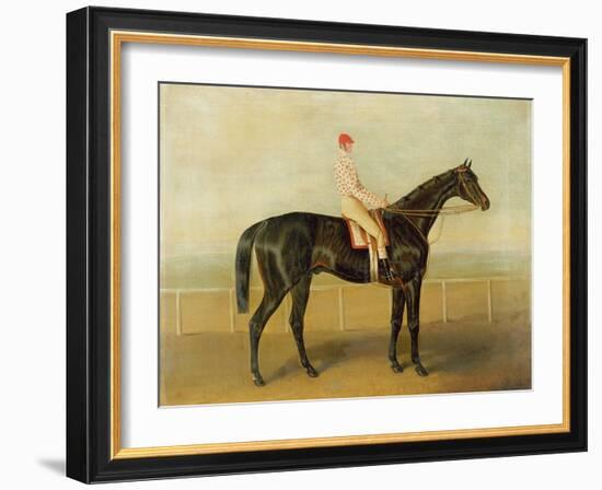 Voltigeur, with Job Marson Up-Samuel Spode-Framed Giclee Print