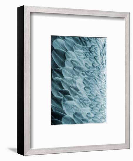 Volture I-Design Fabrikken-Framed Art Print