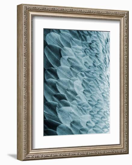 Volture I-Design Fabrikken-Framed Art Print