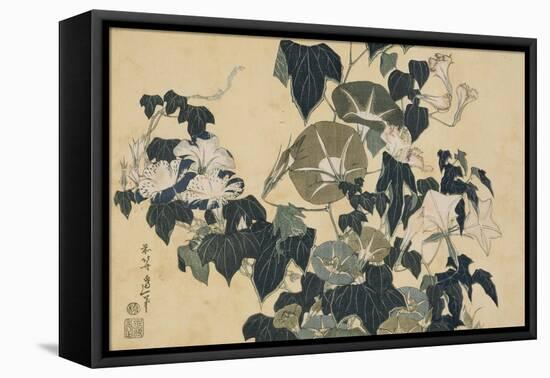 Volubilis et reinette-Katsushika Hokusai-Framed Premier Image Canvas