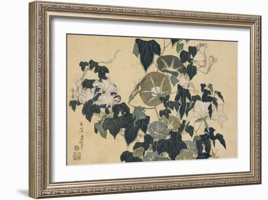 Volubilis et reinette-Katsushika Hokusai-Framed Giclee Print