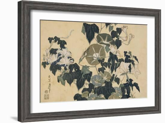 Volubilis et reinette-Katsushika Hokusai-Framed Giclee Print