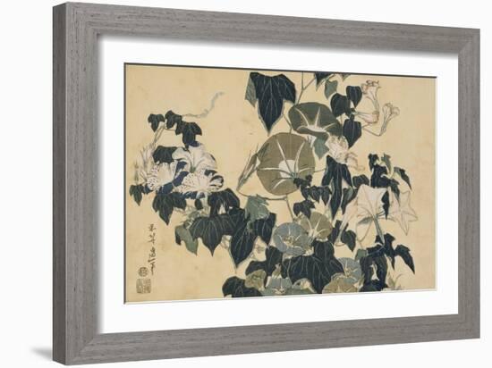 Volubilis et reinette-Katsushika Hokusai-Framed Giclee Print