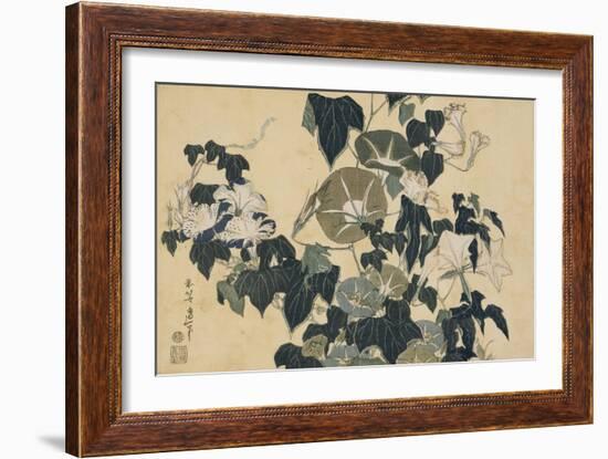 Volubilis et reinette-Katsushika Hokusai-Framed Giclee Print