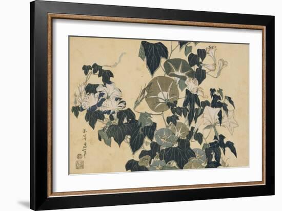 Volubilis et reinette-Katsushika Hokusai-Framed Giclee Print