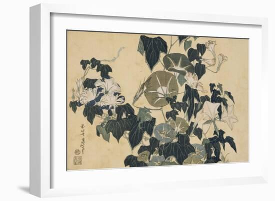 Volubilis et reinette-Katsushika Hokusai-Framed Giclee Print