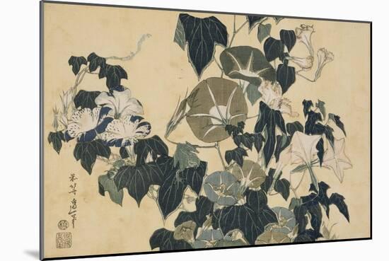 Volubilis et reinette-Katsushika Hokusai-Mounted Giclee Print