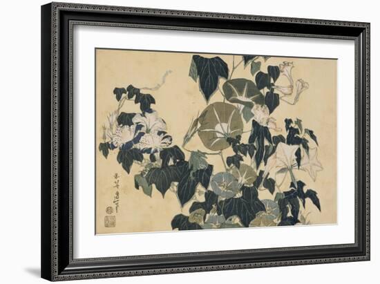 Volubilis et reinette-Katsushika Hokusai-Framed Giclee Print