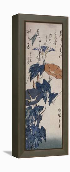 Volubilis-Ando Hiroshige-Framed Premier Image Canvas