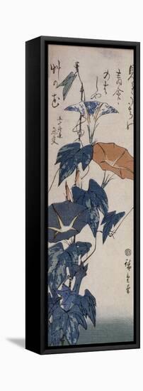 Volubilis-Ando Hiroshige-Framed Premier Image Canvas