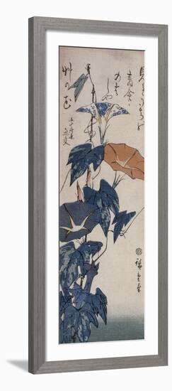 Volubilis-Ando Hiroshige-Framed Giclee Print