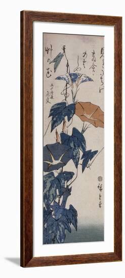 Volubilis-Ando Hiroshige-Framed Giclee Print