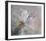 Volupte-Clotilde Ancarani-Framed Art Print