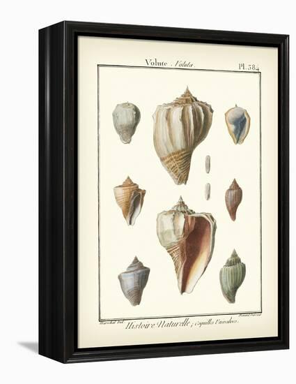 Volute Shells, Pl.384-Diderot-Framed Stretched Canvas