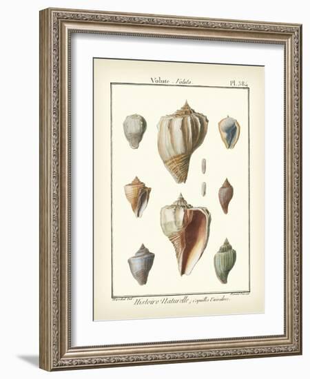 Volute Shells, Pl.384-Diderot-Framed Art Print