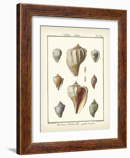 Volute Shells, Pl.384-Diderot-Framed Art Print